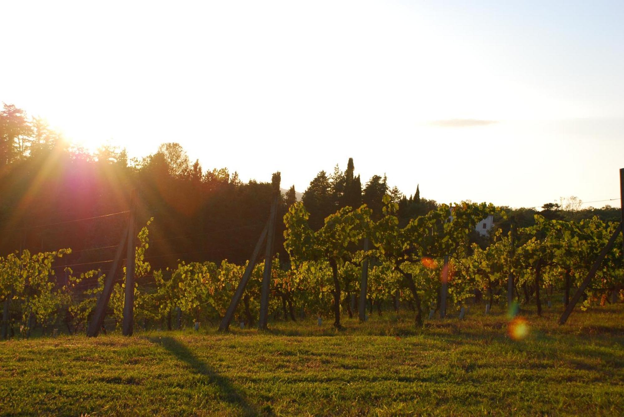 Agriturismo Il Sasso Anghiari Kültér fotó